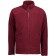 color:bordeaux