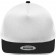 color:white/black