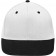 color:white/black