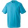 color:turquoise