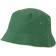 color:dark-green/beige