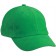color:fern-green