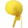 color:sun-yellow