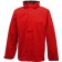 color:classic red/black