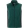 color:dark-green/black