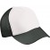 color:white/black