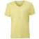 color:light-yellow