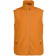 color:orange 305