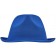 color:royal
