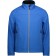 color:blau