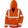 color:fluorescent orange