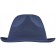 color:navy