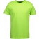 color:Lime