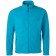 color:turquoise