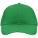 color:fern-green