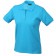 color:turquoise