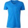 color:atlantic