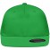 color:fern-green