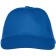 color:royal 55