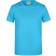 color:turquoise