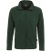 color:tanne