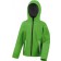 color:vivid green/black