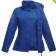 color:oxford blue