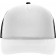 color:white/black