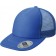 color:royal