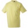 color:light-yellow