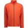 color:orange