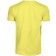 color:lemon 208