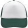 color:white/dark-green