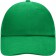 color:fern-green