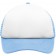 color:white/light-blue
