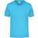 color:turquoise