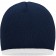 color:navy/white