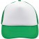 color:white/fern-green