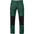 color:forestgreen 66